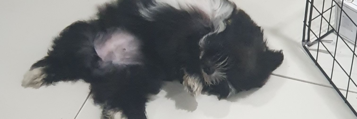 1004JK97's profile banner image