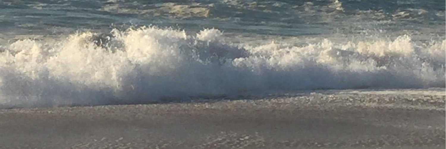 Marie-Pierre Dequier banner