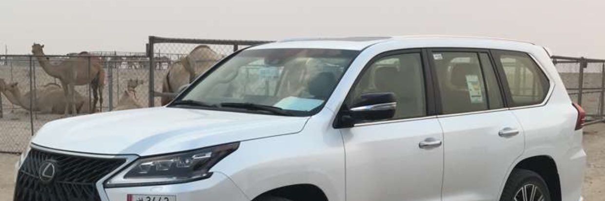 Qatar7z7's profile banner image