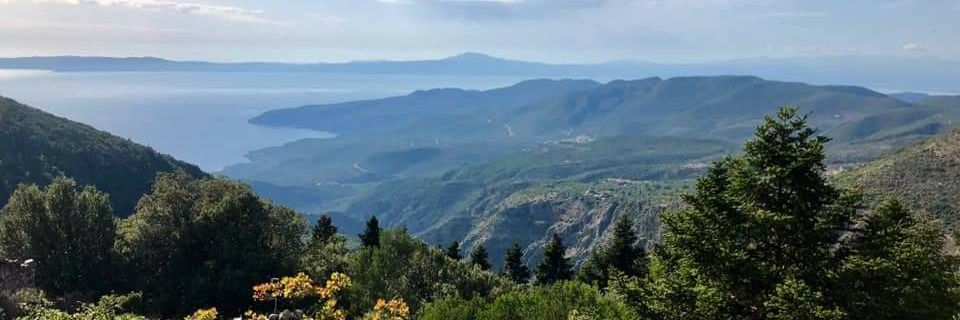 pure_TRAIL's profile banner image