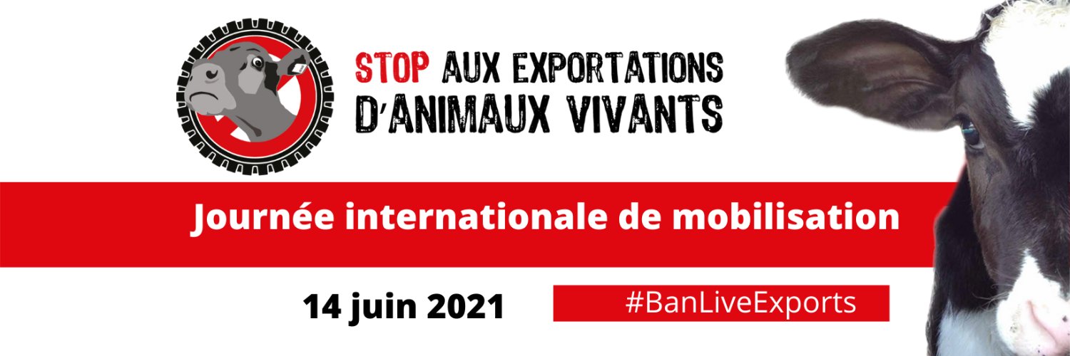 🐷AFAAD🐮 banner