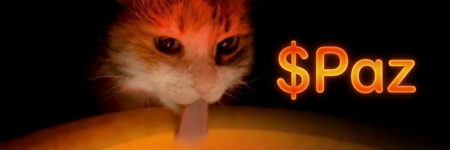 PazonSOL's profile banner image