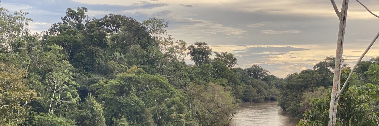 elmatacho's profile banner image