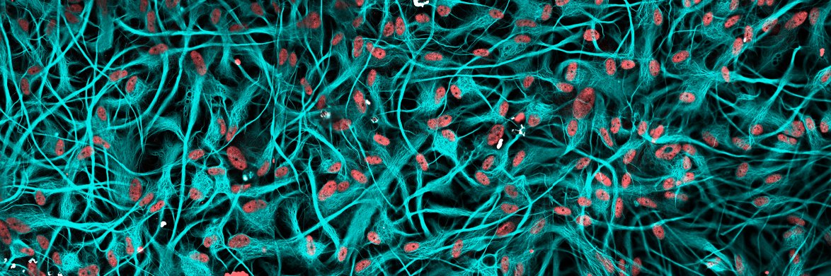 The Serio Lab banner