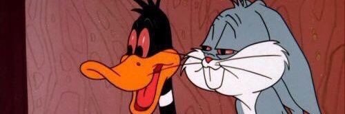 Experiment 626 banner