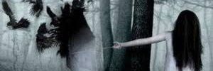 thataruffo's profile banner image