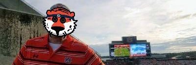🦚Dustin McNabb ✈️ banner