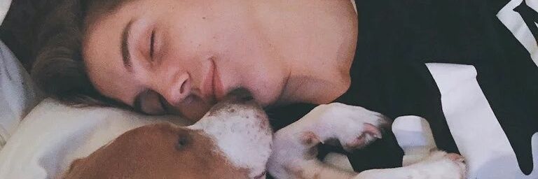 nickyjackJ's profile banner image