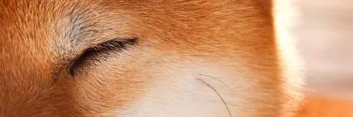 abouts's profile banner image