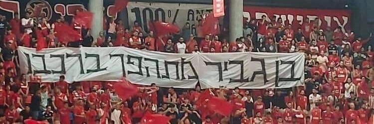 snir peleg 🇮🇱 🐱 שניר פלג banner