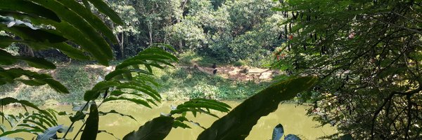 BarryCoops1 Profile Banner