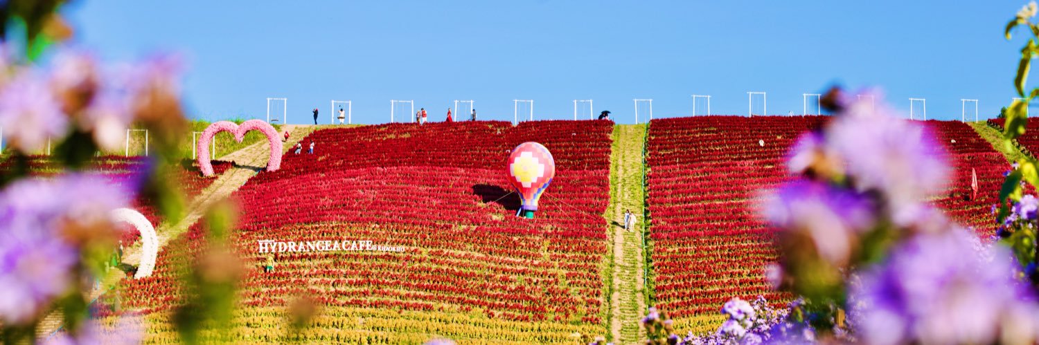 JTW24496's profile banner image