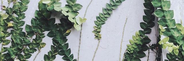 ZataTF's profile banner image
