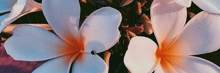 Jaeda_Boo's profile banner image