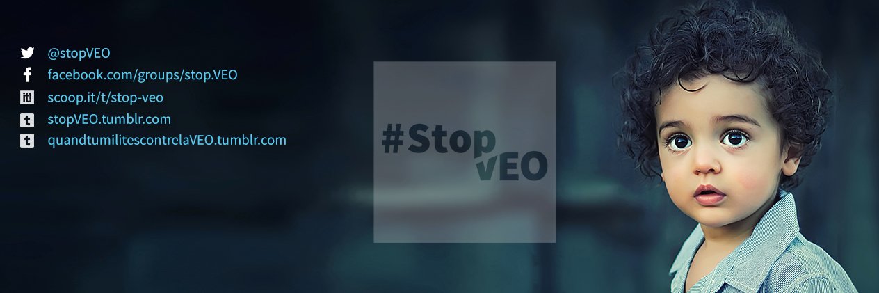 StopVEO banner