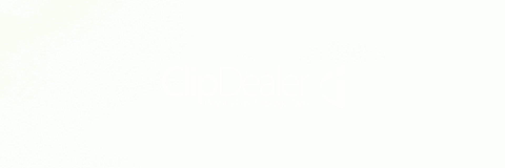 CollarMcr's profile banner image