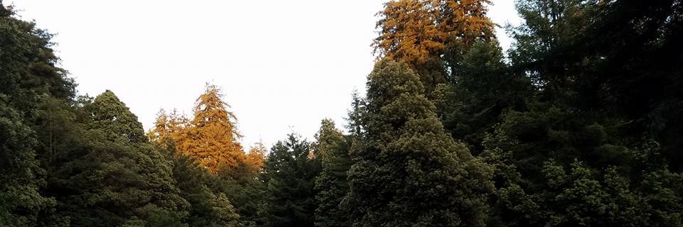 NickDaybreak92's profile banner image