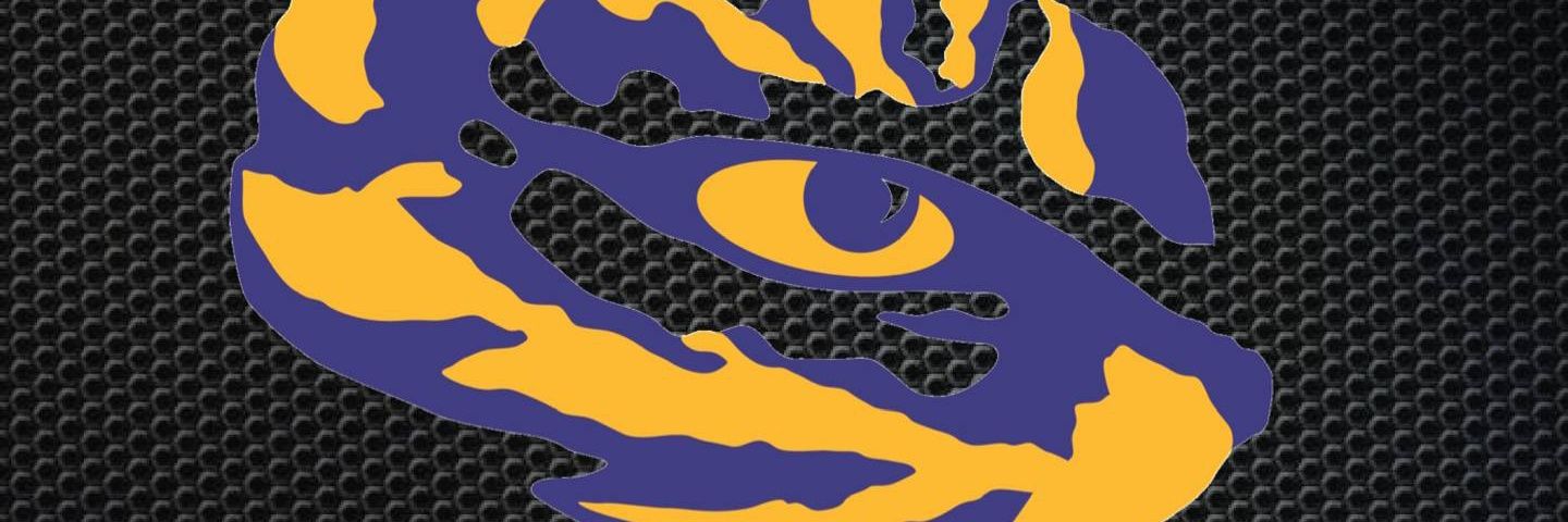TigerMott's profile banner image