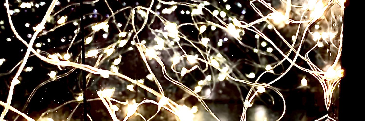 mrbio1984's profile banner image