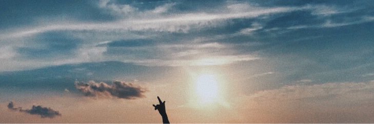 lexxiifoxx's profile banner image