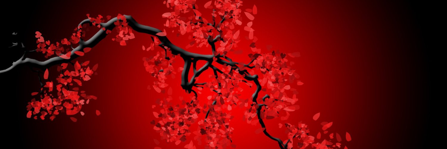 donnajiscmail's profile banner image