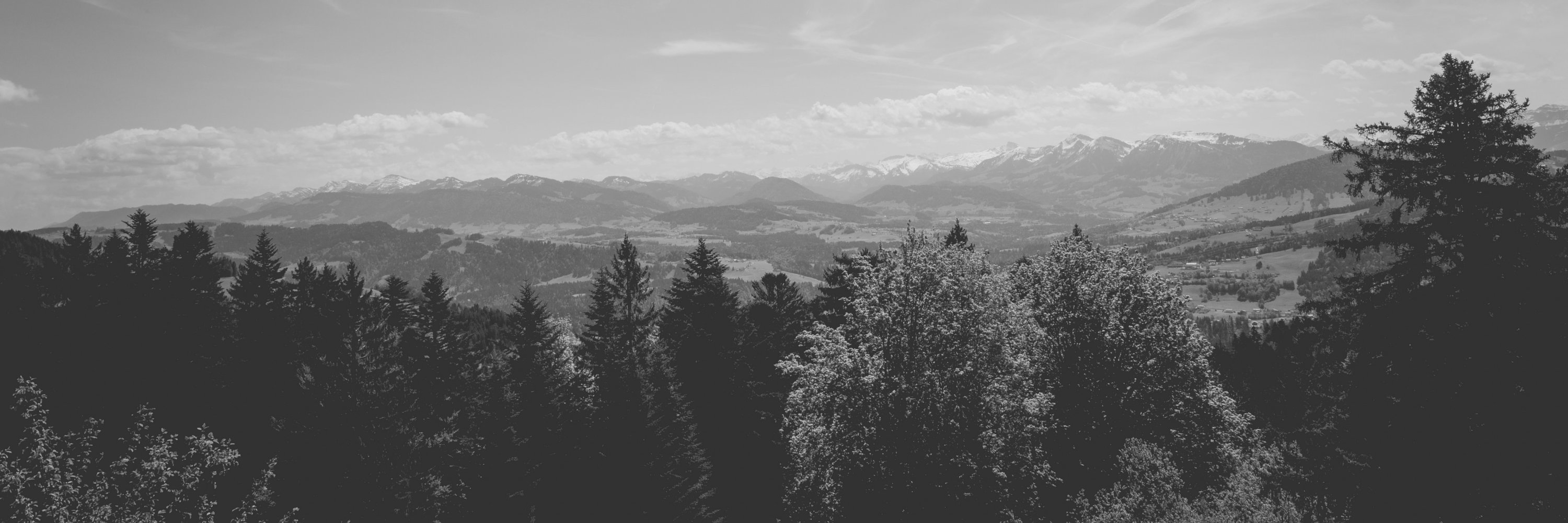Beniy_'s profile banner image