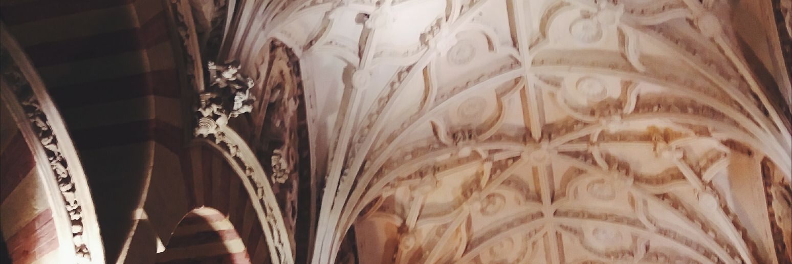 adruuus's profile banner image