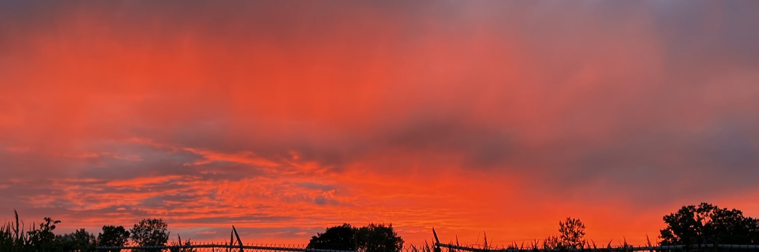 vshmo's profile banner image