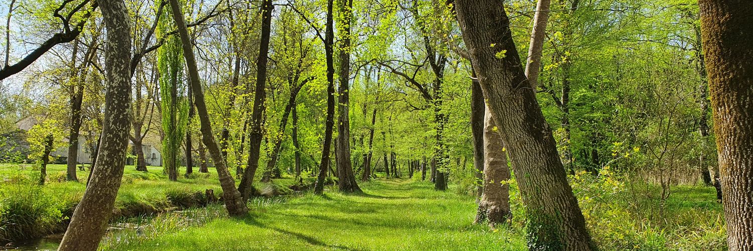 Louise Riotte-Lambert banner