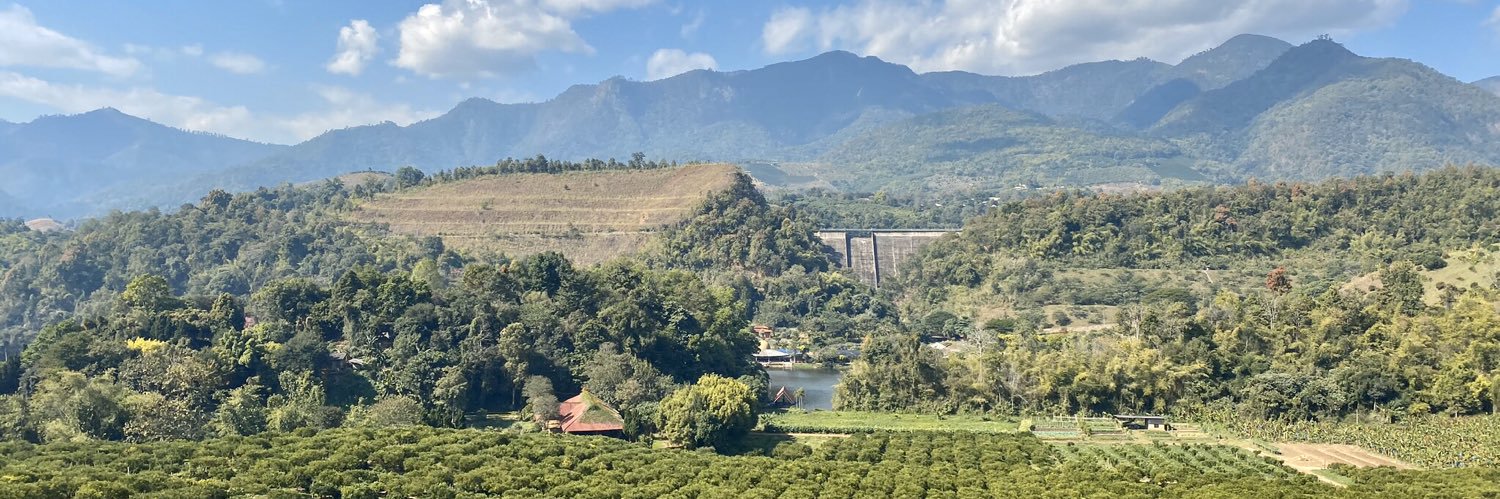 Brittney Baumert banner