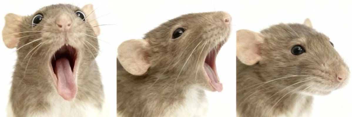 wsixz's profile banner image