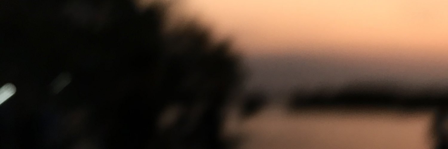 dyahbdr's profile banner image