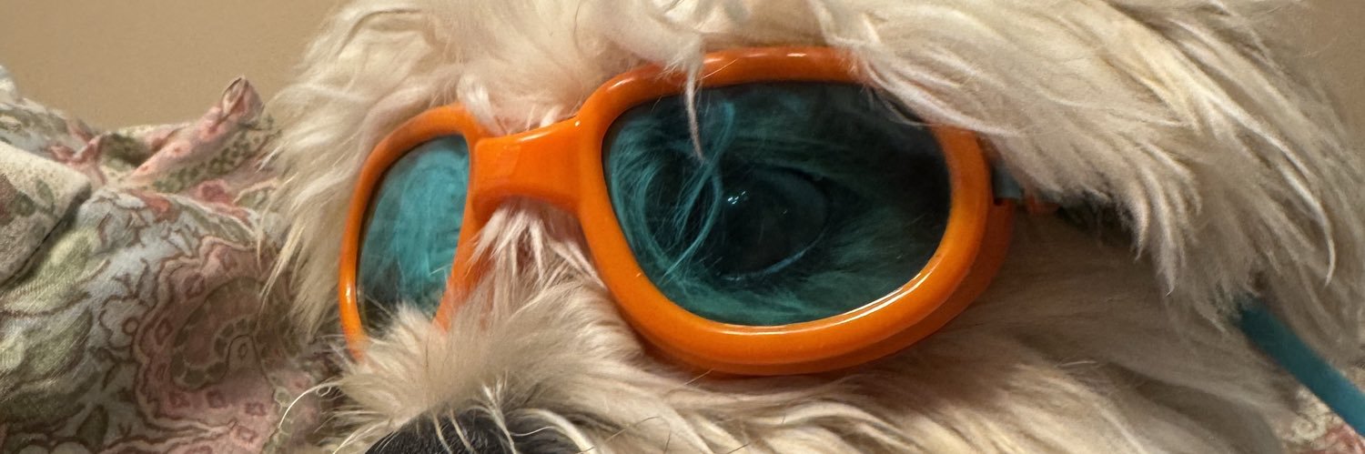 BingFPS's profile banner image