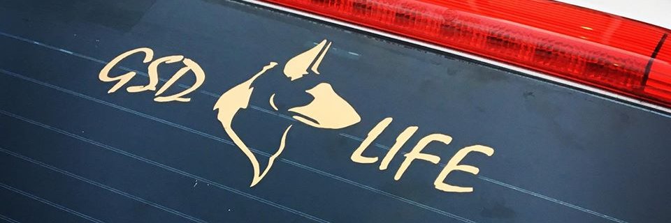 BlackShepherdGr's profile banner image