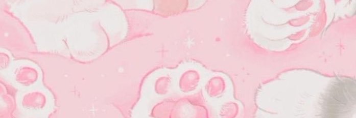 stuckonshwn's profile banner image