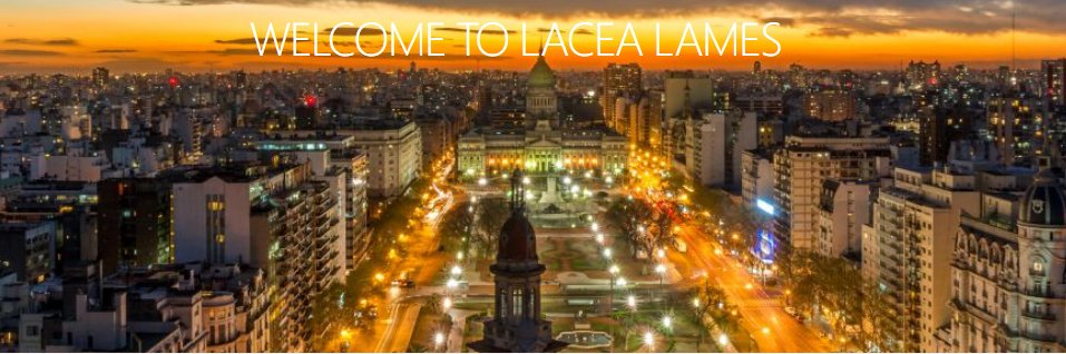 LaceaLames17's profile banner image