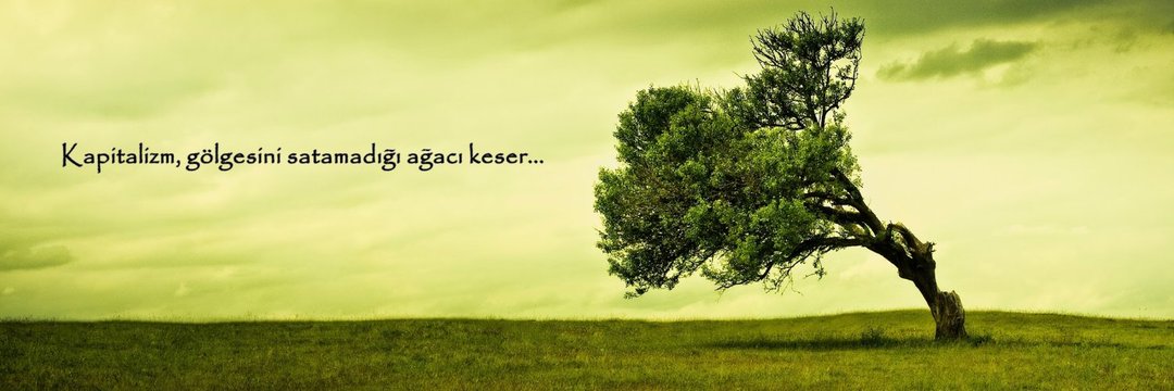 engsk26's profile banner image