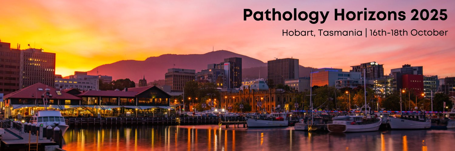 path_horizons's profile banner image