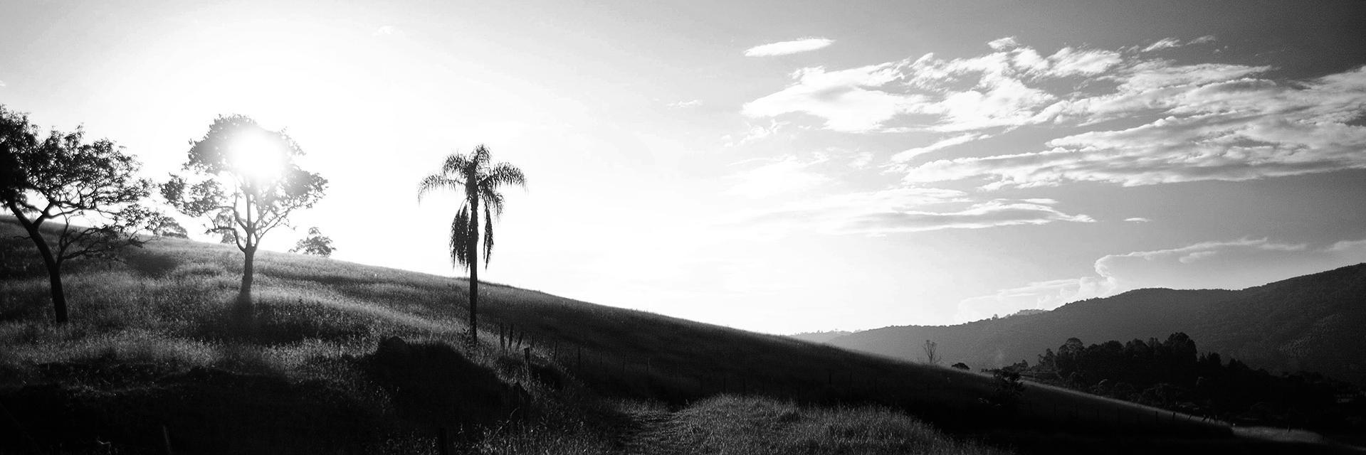 iBABDesign's profile banner image