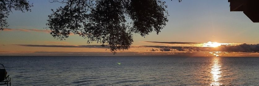 luke_bushey's profile banner image