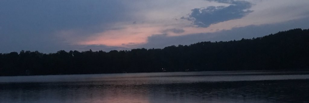 stephaniesamms's profile banner image
