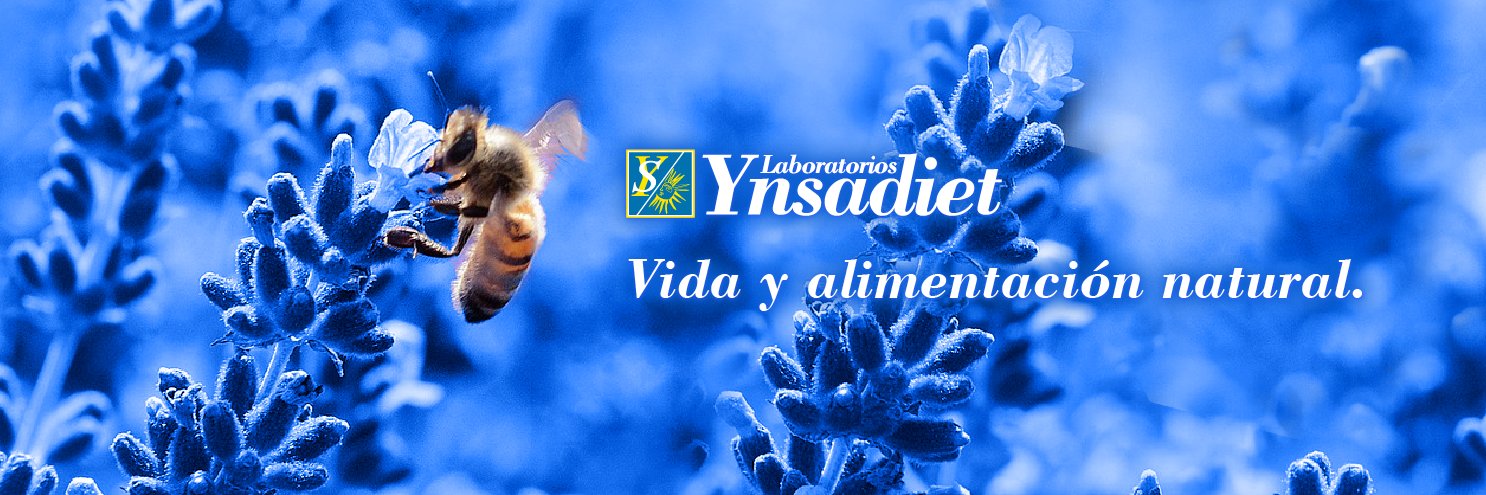 Ynsadiet banner