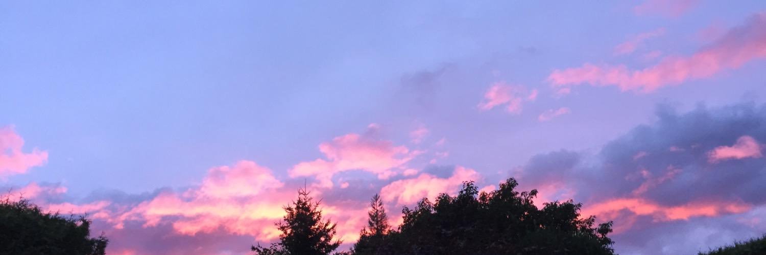 OraNiu's profile banner image