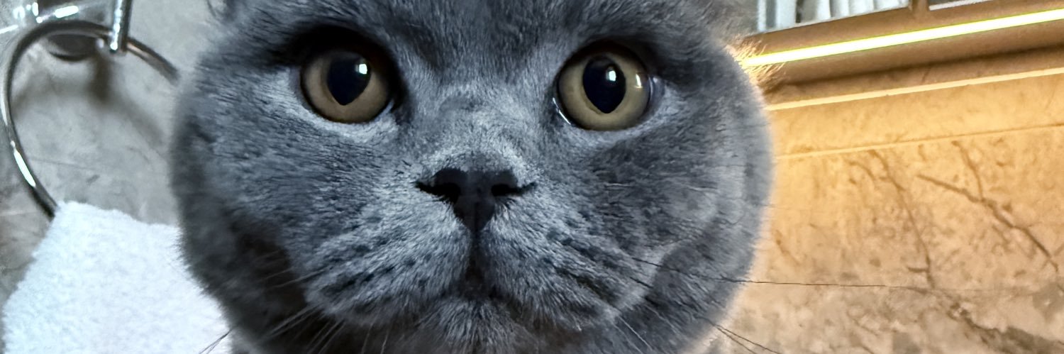 Tuuvba's profile banner image