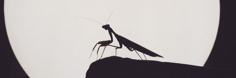 Pablosh420's profile banner image