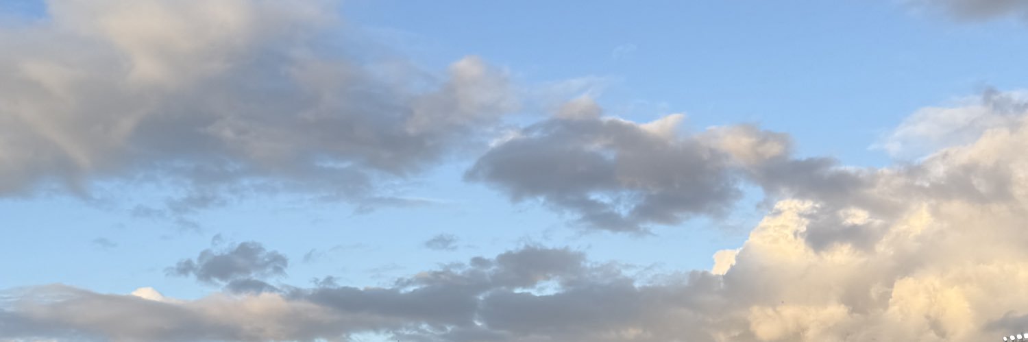 fvndemierdv's profile banner image