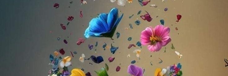 zw_47's profile banner image