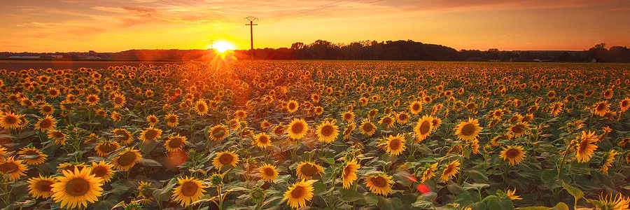toomuchsky's profile banner image