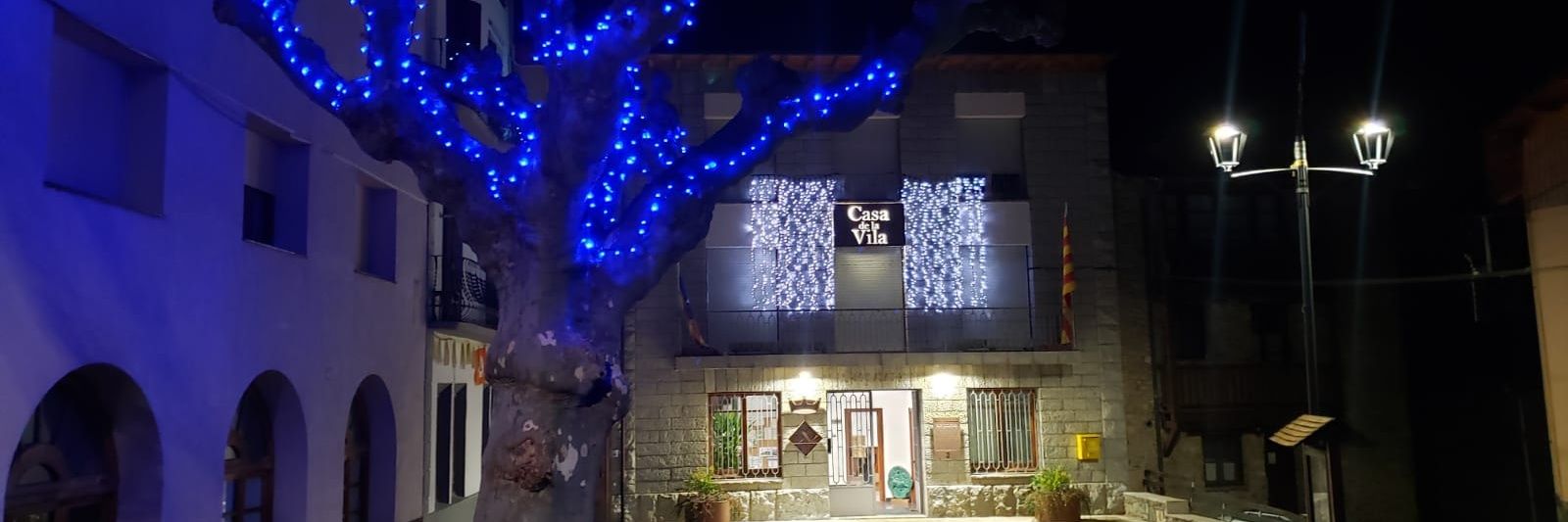 Ajuntament de Planoles banner