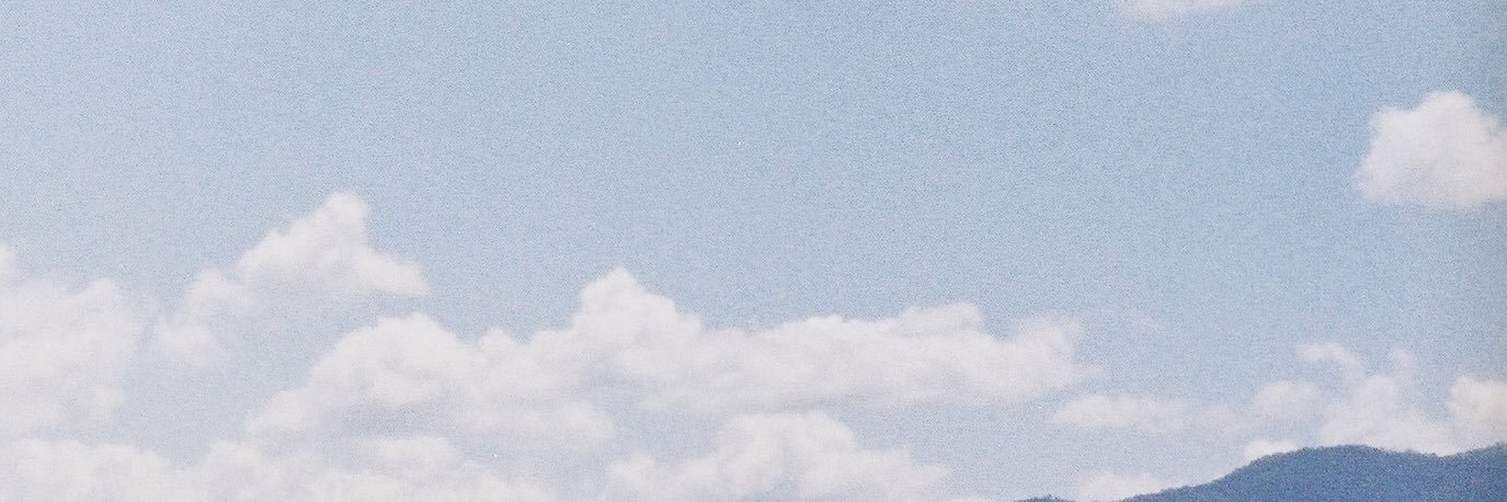 pun banner